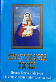 Спасительница России Икона Божией Матери 